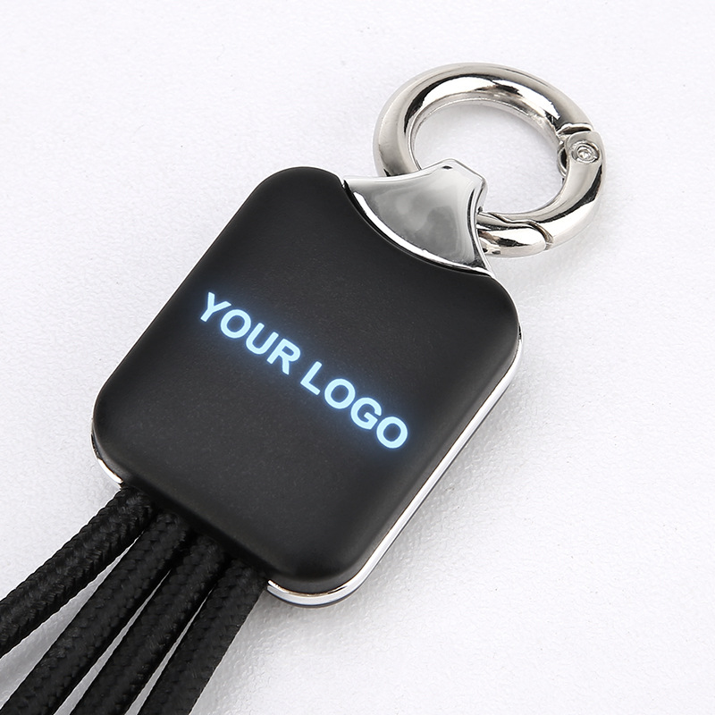 4 In 1 Light Up Logo Braided Cable With Keychain