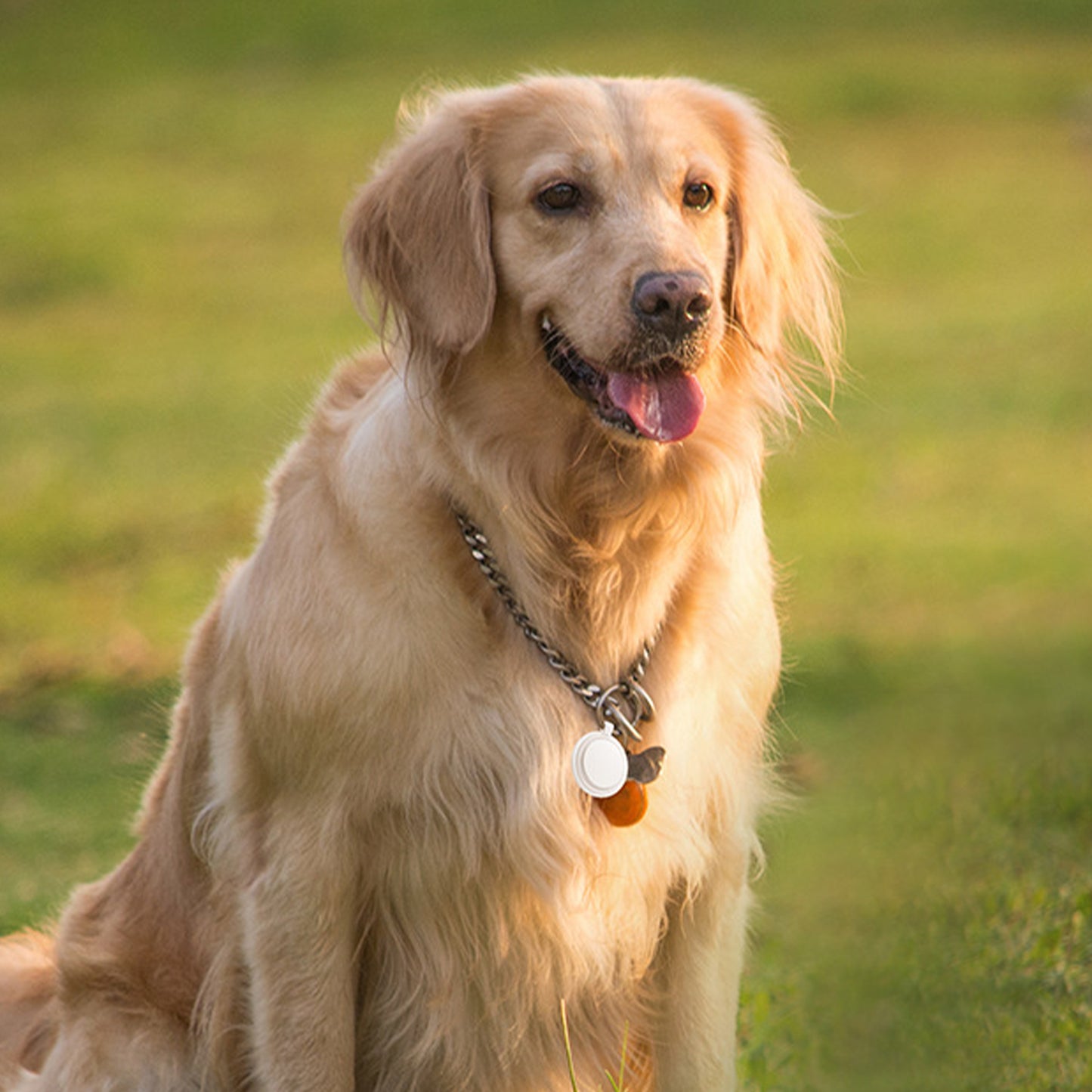 Bluetooth Finder Pet Tracker Iintelligent Anti Loss Locator